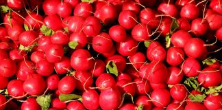 Rzodkiewka – warzywo na wiele dolegliwości