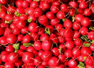 Rzodkiewka – warzywo na wiele dolegliwości