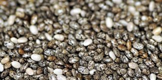 Niezwykłe nasiona Chia