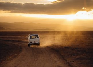 Przyrodnicze bogactwo Górnego Śląska – czym zaskoczą nas Tarnowskie Góry?