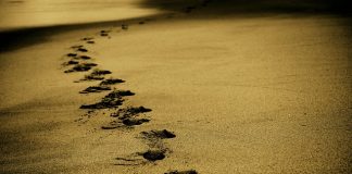 Latanie tania alternatywa podróży