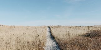 Tanie bilety lotnicze