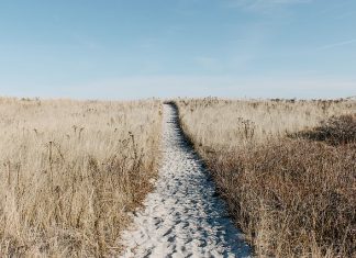 Tanie bilety lotnicze Tanie bilety lotnicze