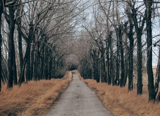 Beztroska relaks i wypoczynek Beztroska relaks i wypoczynek