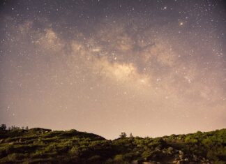 Czy Pandora jest jeszcze modna? Czy Pandora jest jeszcze modna?