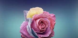 Do jakiego typu urody pasuje złoto?