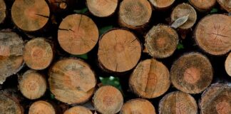 Co jest najbardziej szkodliwe w ciąży?