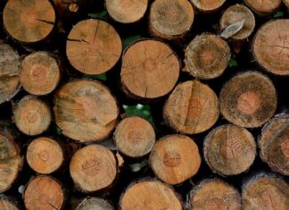 Co jest najbardziej szkodliwe w ciąży? Co jest najbardziej szkodliwe w ciąży?