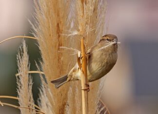 Z jakiego materiału powinny być majtki? Z jakiego materiału powinny być majtki?