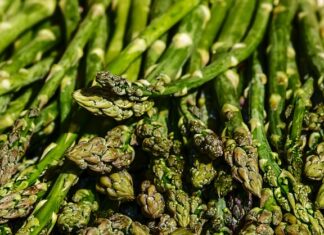 Co na szyję do ślubu? Co na szyję do ślubu?