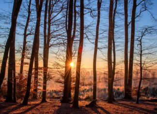 Gdzie można kupić kąpielówki męskie? Gdzie można kupić kąpielówki męskie?