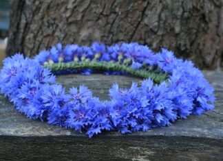 Co oznacza wianek na ślubie?