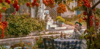 Kto nosi szare berety?