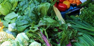 Co to jest błonnik guar?