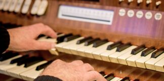 Ile dla organisty za ślub?