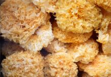 Co jest potrzebne do robienia kolczyków? Co jest potrzebne do robienia kolczyków?