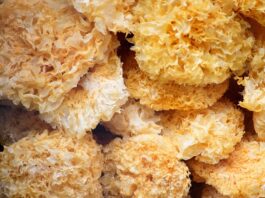 Co jest potrzebne do robienia kolczyków?