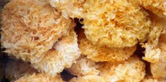 Co jest potrzebne do robienia kolczyków?