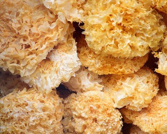 Co jest potrzebne do robienia kolczyków? Co jest potrzebne do robienia kolczyków?