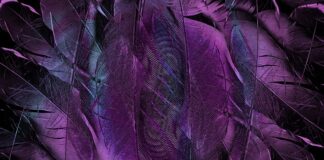 Jaka biżuteria do fioletowej sukienki?