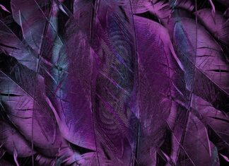 Jaka biżuteria do fioletowej sukienki?