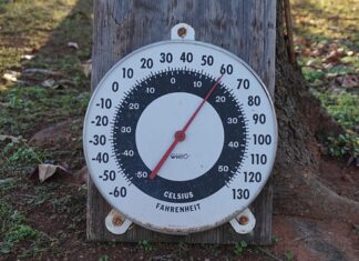 Jaki stopień w wojsku po maturze? Jaki stopień w wojsku po maturze?