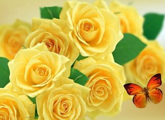 Jak wygląda hormonalny brzuch?