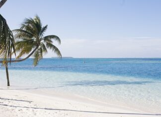 Jak zrobić palmę na głowie?