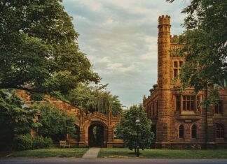 Czym się różni Jersey od Dresówki? Czym się różni Jersey od Dresówki?