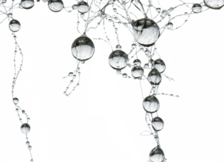 Z czym nie łączyć pereł?