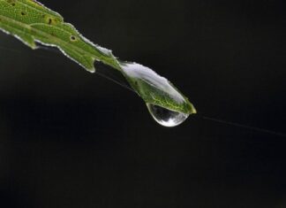 Jak nazywa się czubek buta?