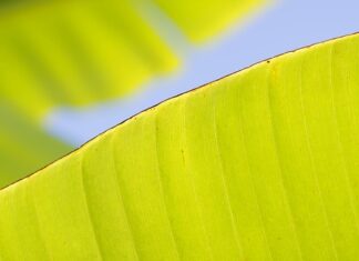 Co zamiast stanika? Co zamiast stanika?