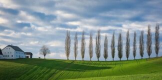 Jakie kolory będą modne w 2023 roku?