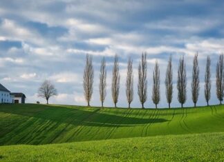 Jakie kolory będą modne w 2023 roku?