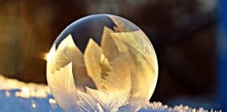 Jaki płyn do zamykania w bańce?