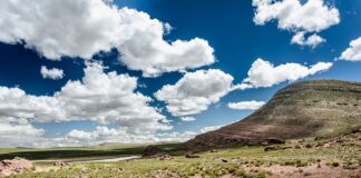 Czy w lesie można znaleźć minerały?