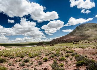 Czy w lesie można znaleźć minerały?