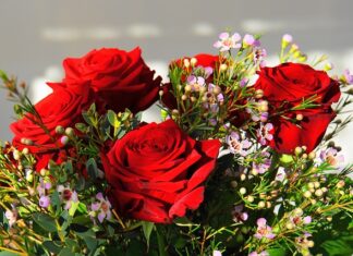 Ile kosztuje najdroższy zegarek Rolex?