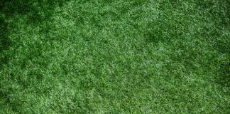 Jakie okrycie do eleganckiej sukienki?