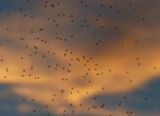 Ile powinno być luzu w bucie? Ile powinno być luzu w bucie?