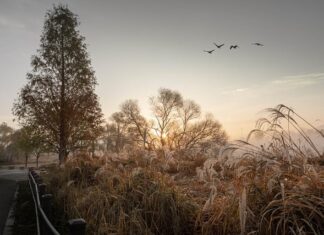 Ile daje się na wesele jako gość? Ile daje się na wesele jako gość?