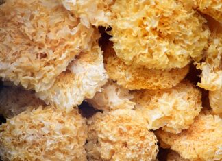 Co kupić do robienia kolczyków?