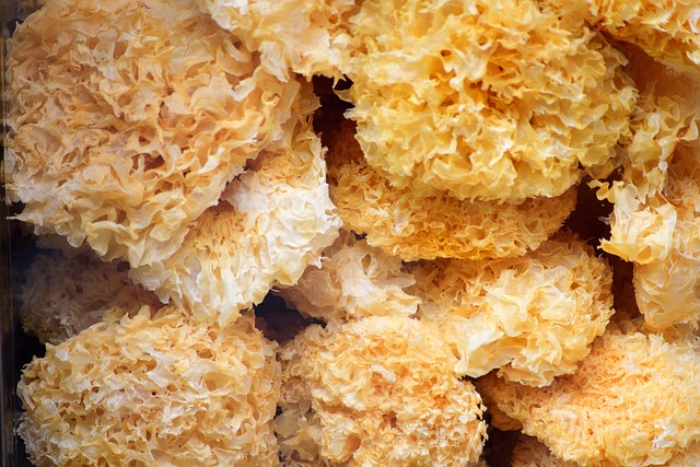 Co kupić do robienia kolczyków? Co kupić do robienia kolczyków?