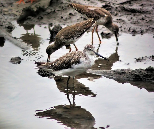 Gdzie jest cholewką? Gdzie jest cholewką?