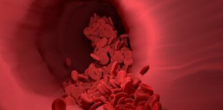 Czy rozmiar D jest duży?