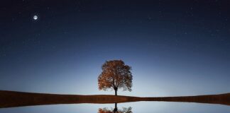 Jak się pije macchiato?