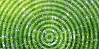 Czy można kupić kółka do walizki Wittchen?