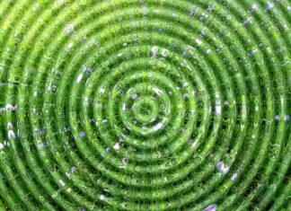 Czy można kupić kółka do walizki Wittchen? Czy można kupić kółka do walizki Wittchen?