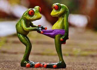 Co to znaczy slipy? Co to znaczy slipy?