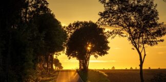 Ile waży pusta walizka do samolotu?